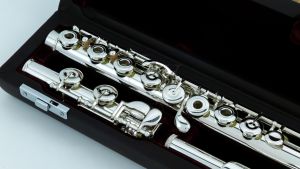 DS RCE | 【クロサワ楽器店オンラインショップ】いい楽器とのいい