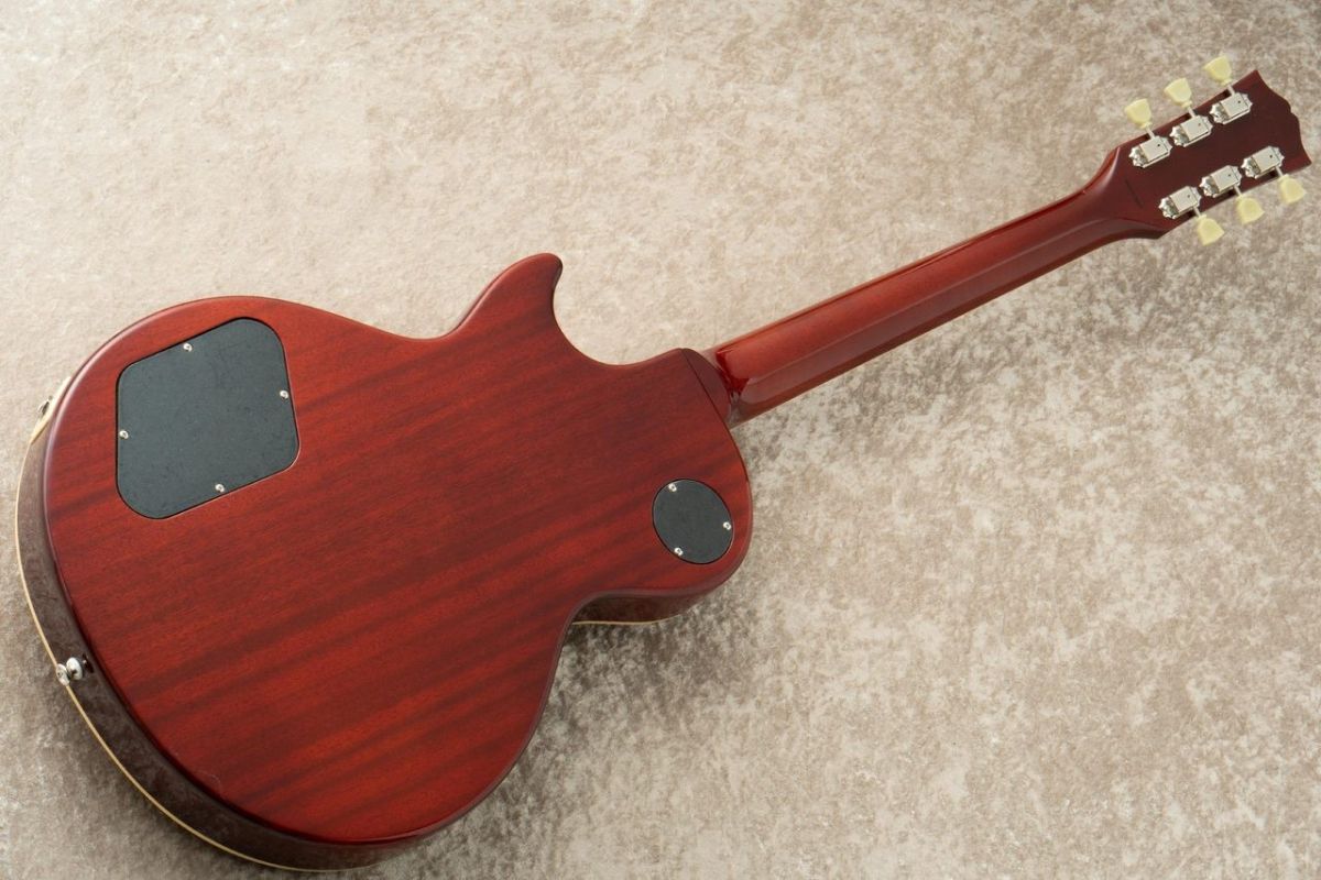 LS-101F-CM 