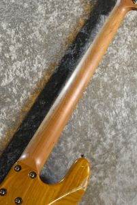 ベース Xotic XJ-1T 5st Ash Roasted Maple Xotic XJ-1T 5st 