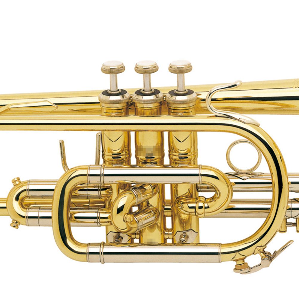 Bach コルネット 181ML 動作品ですが年代品