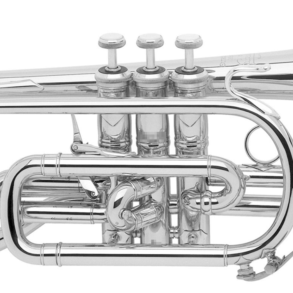 184ML GBSP【新品】 | 【クロサワ楽器店オンラインショップ】いい楽器