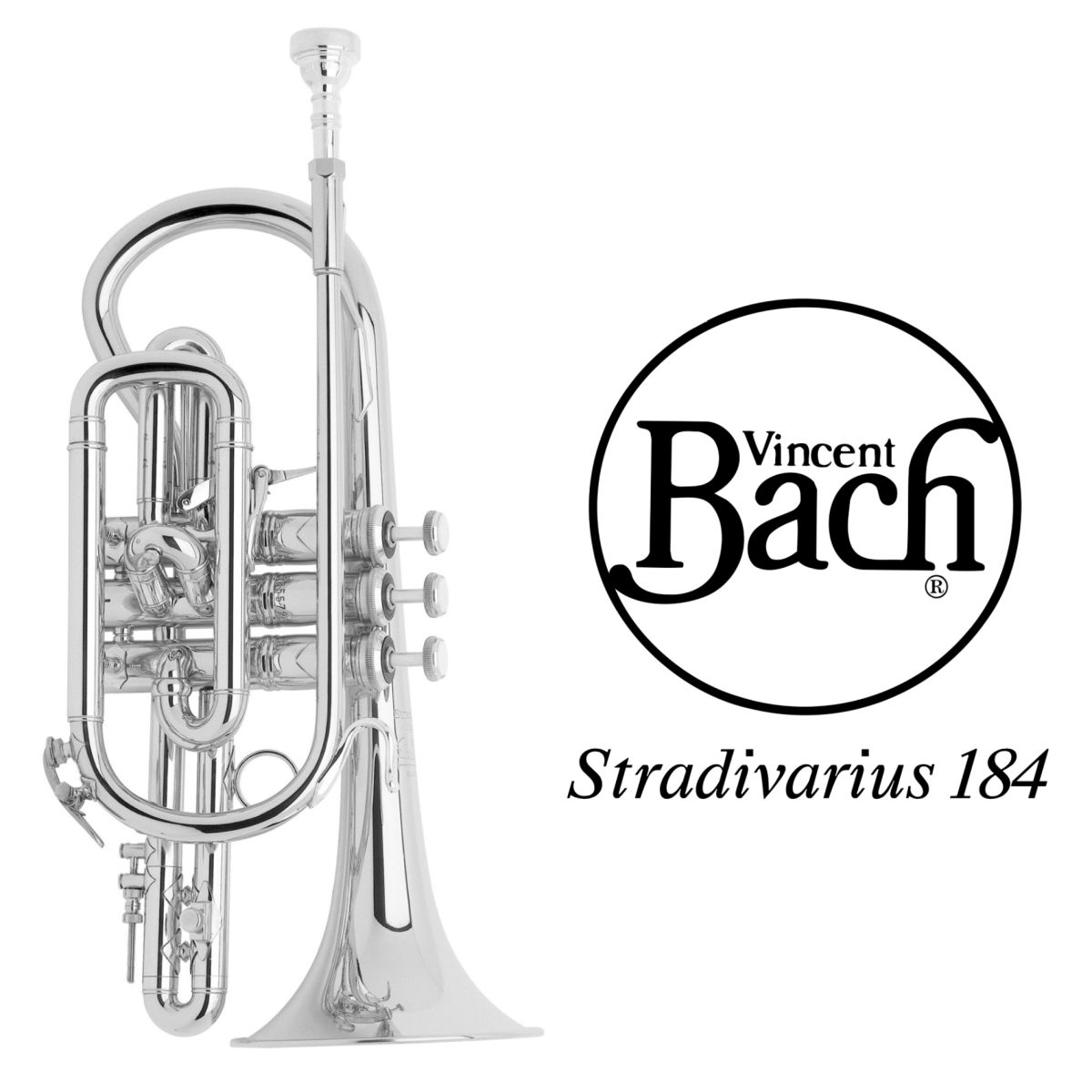 stradivarius model 184❣️ 184ML GBSP【新品】 | 【クロサワ楽器店オンラインショップ】いい楽器