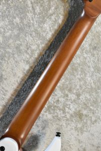 NINJA N7FP Snow Fall #223878 | 【クロサワ楽器店オンラインショップ