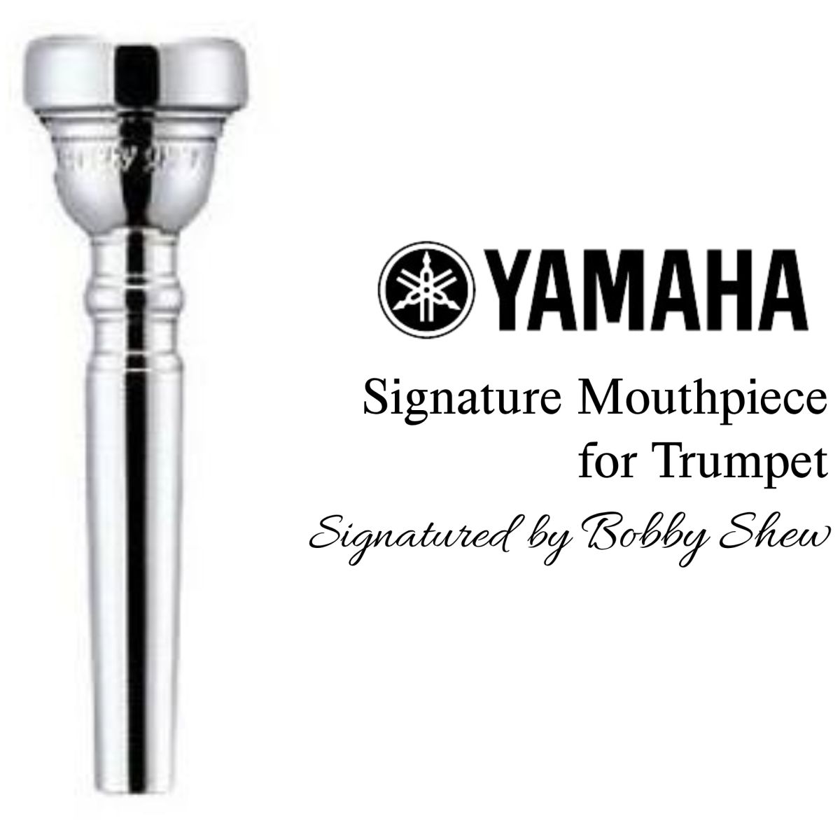 ヤマトランペットマウスピース bobby shew allen vizzitti ヤマトランペットマウスピース bobby shew allen vizzitti ヤマ