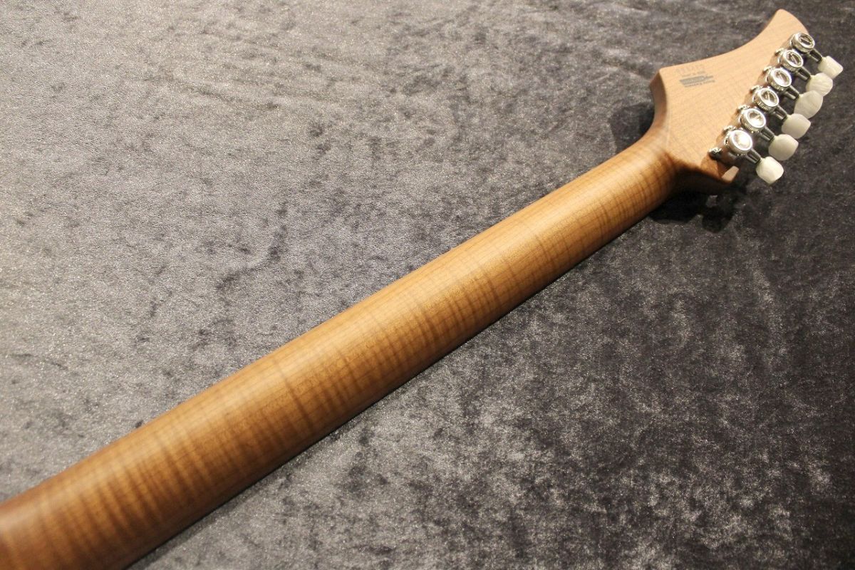 Custom Order DST-Pro24 5A Exotic Flame/Ash Denim Burst