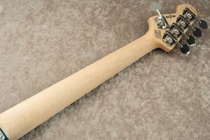 HIKARU YAMAMOTO Signature Model AOLIER ~gogen~ | 【クロサワ楽器店