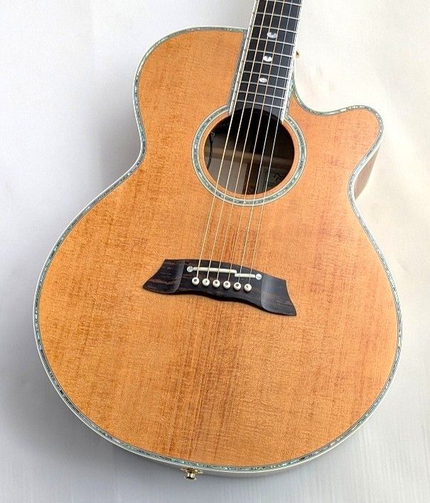 TAKAMINE アコースティックギター スプルースボディ 6弦