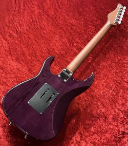 GrassRoots G-SN-CTM/P See Thru Black エレキギター初心者14点