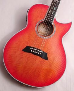 Takamine、セミハードケースのアコースティックギター検索結果