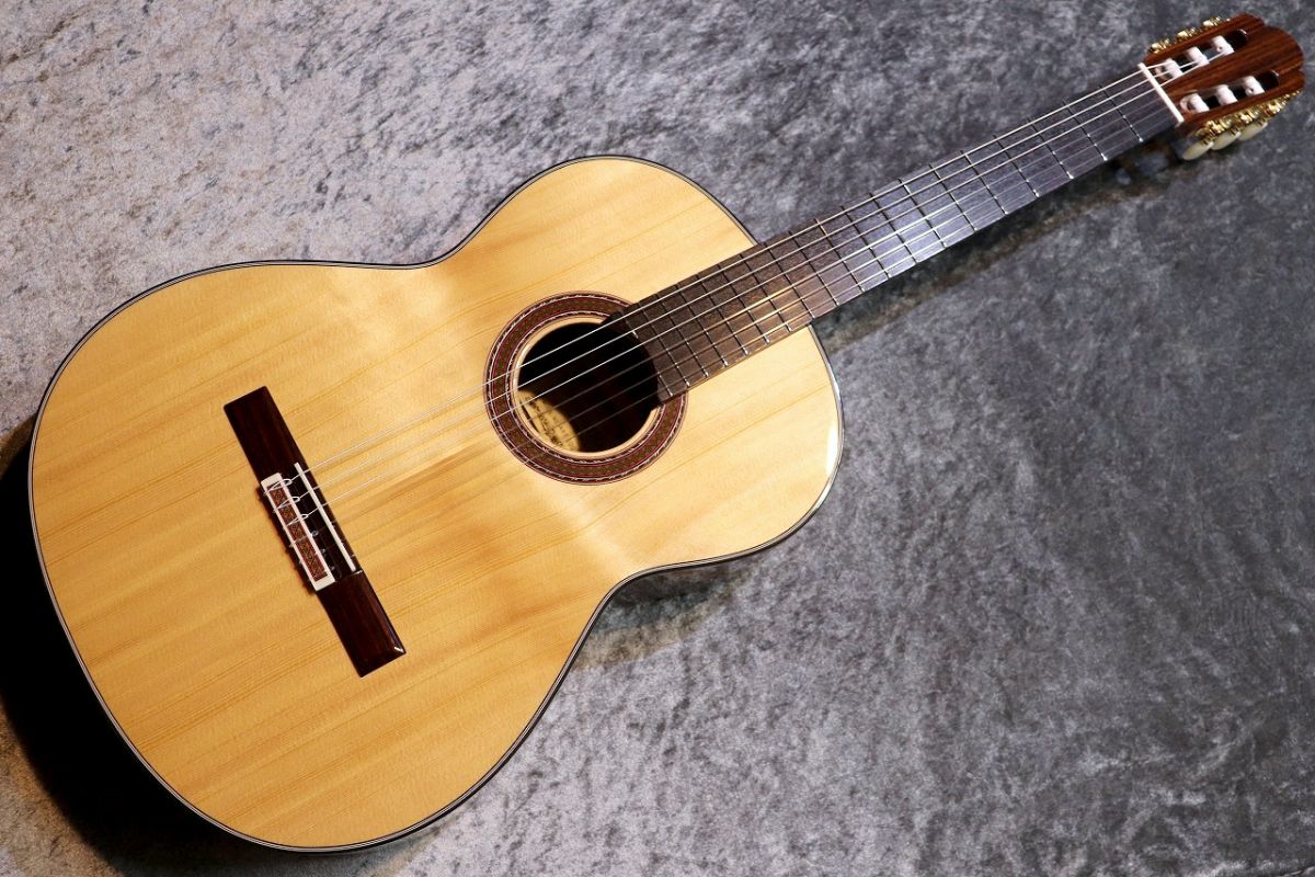 AST-100/S #46311 | 【クロサワ楽器店オンラインショップ】いい楽器と