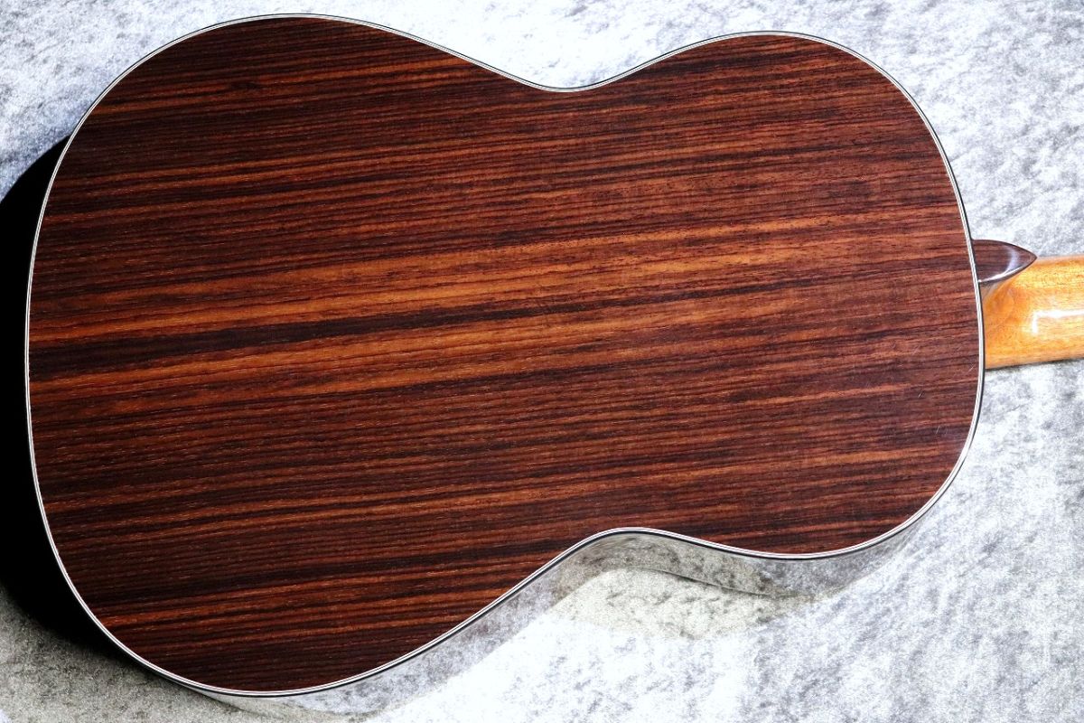 AST-100/S #46311 | 【クロサワ楽器店オンラインショップ】いい楽器と