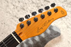 Sire Larry Carlton T7TM Natural #2N24970476 【3.20kg