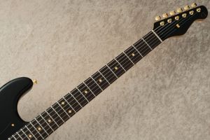 TRAD MASTER series SIGMA SSS Light Aged w/Matching Head, Gold