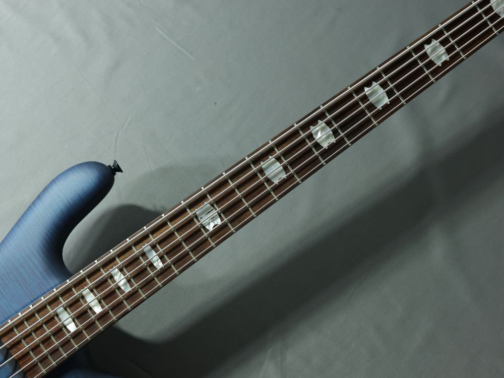 SPECTOR NS Ethos HP 5 Plum Crazy Gloss 5弦ベース スペクター