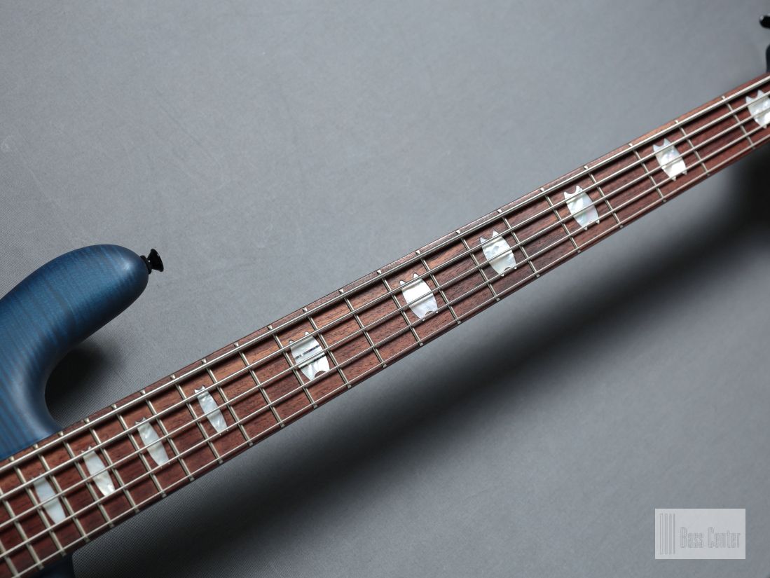 【美品】Spector 5弦ベース、希少メイプルネック・ケース付き・送料無料 美品】Spector 5弦ベース、希少メイプルネック・ケース付き