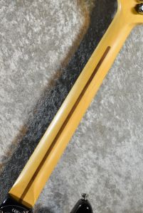 AMERICAN PROFESSIONAL II STRATOCASTER MOD #US230002798