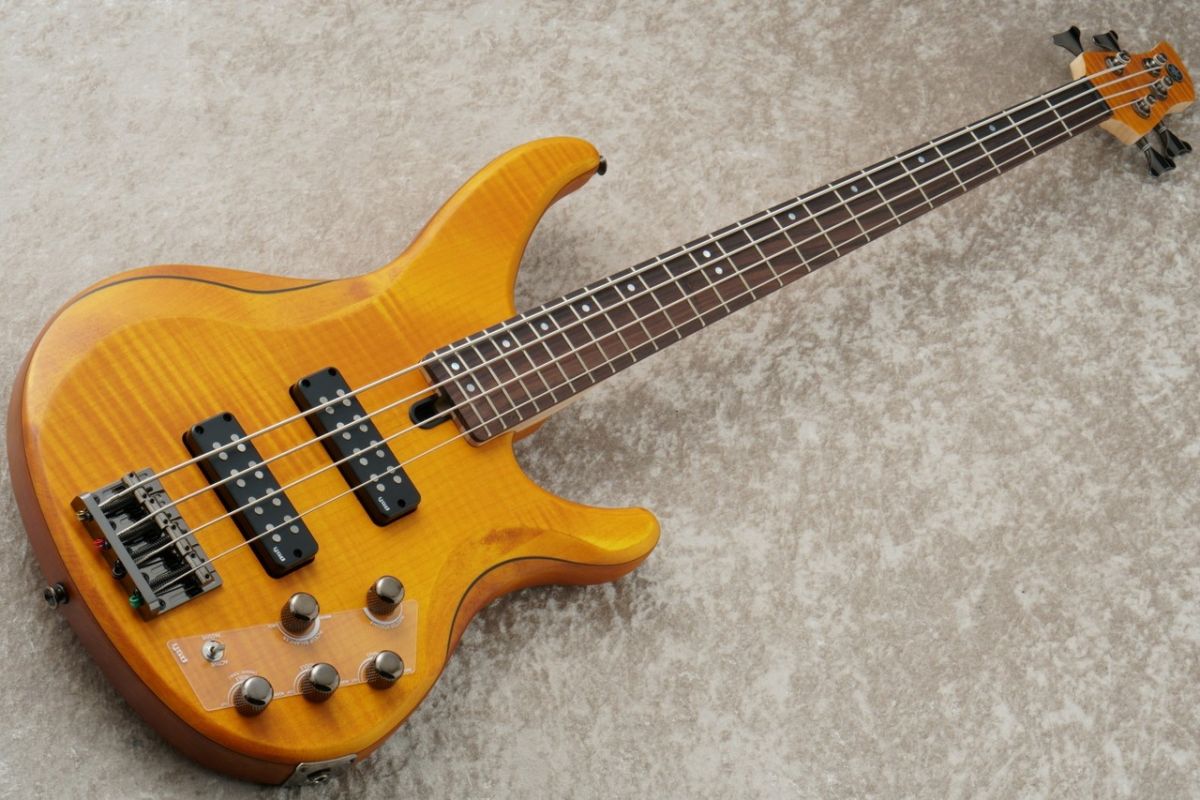 TRBX604FM -Matte Amber- | 【クロサワ楽器店オンラインショップ】いい