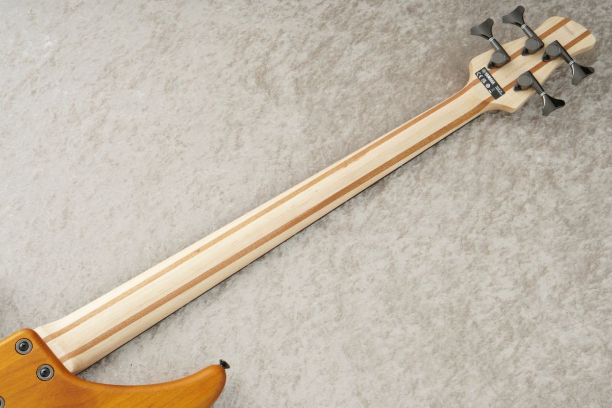 TRBX604FM -Matte Amber- | 【クロサワ楽器店オンラインショップ】いい