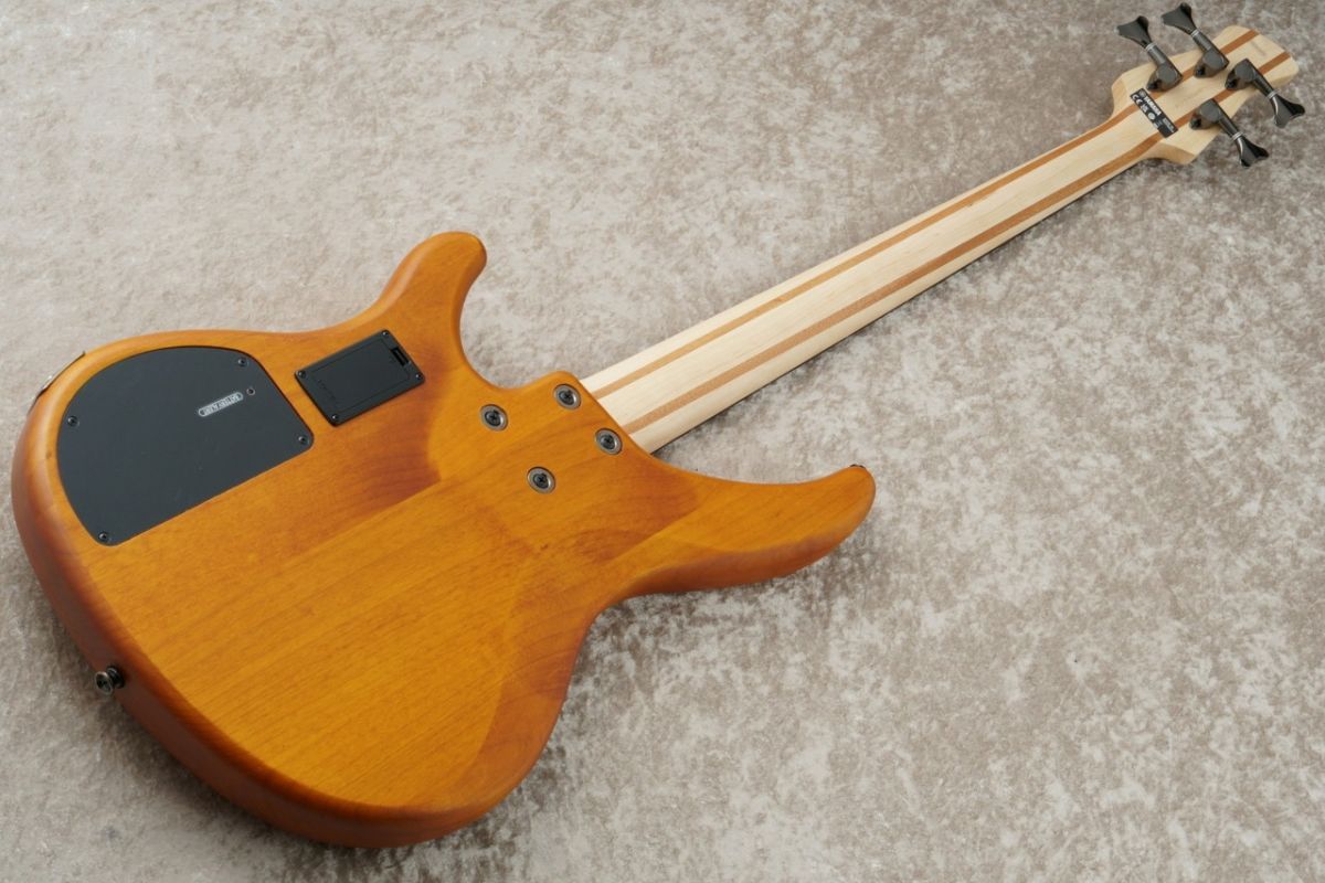 TRBX604FM -Matte Amber- | 【クロサワ楽器店オンラインショップ】いい