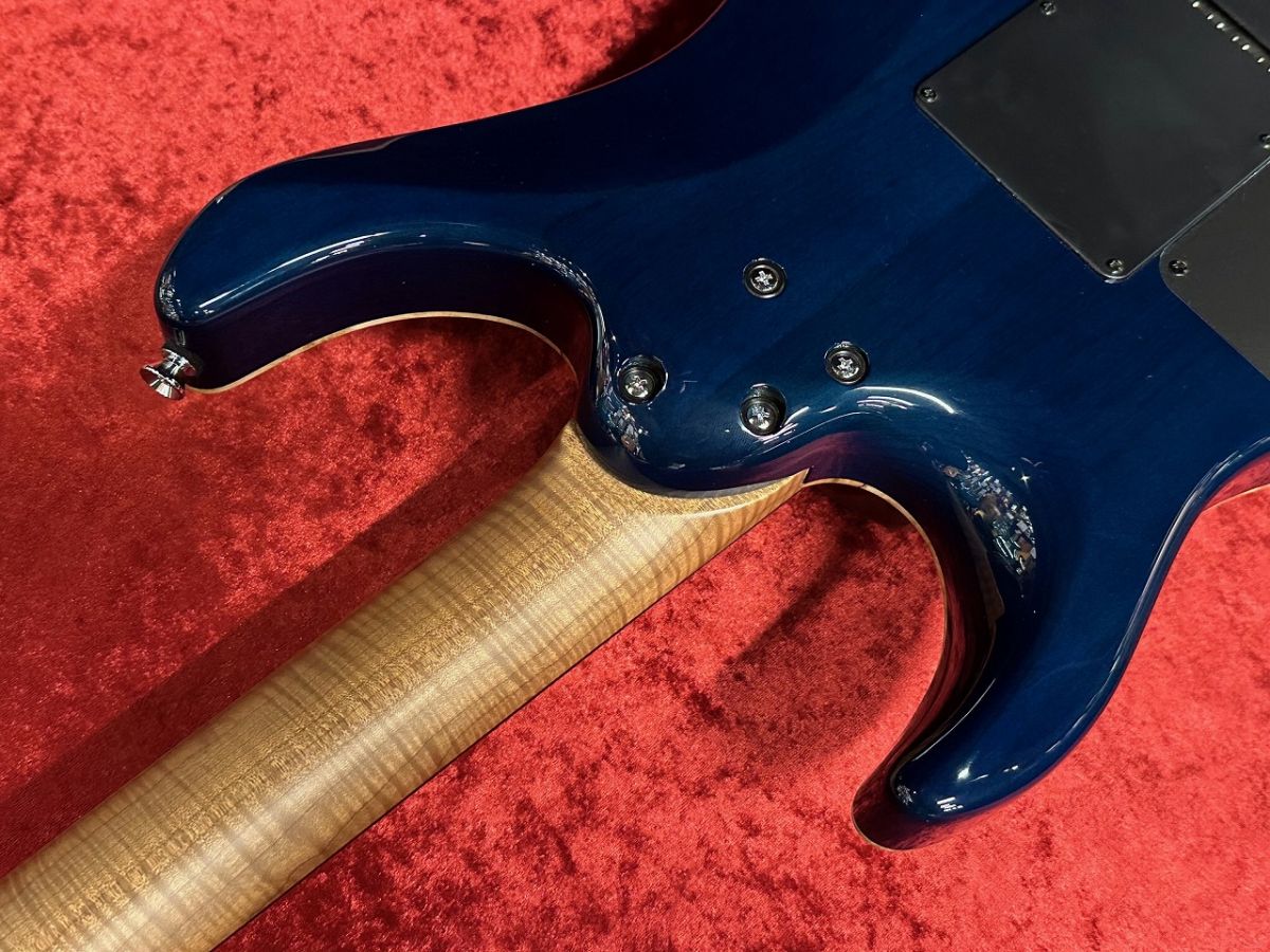 DST-24 Custom | 【クロサワ楽器店オンラインショップ】いい楽器との