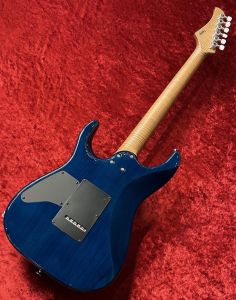 DST-24 Custom | 【クロサワ楽器店オンラインショップ】いい楽器との