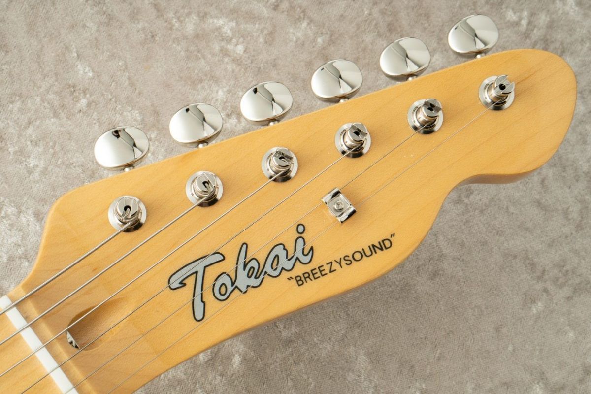 ATE-101 -Pink Paisley / PR- #240995 | 【クロサワ楽器店