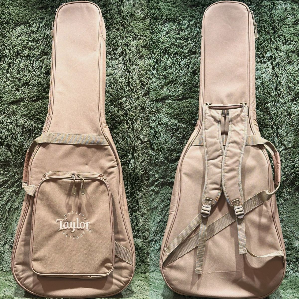 Taylor 110