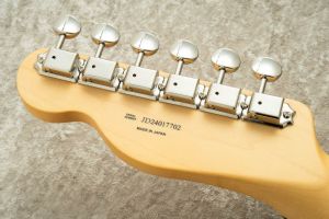 Made in Japan Limited Kusumi Color Telecaster Thinline -Kusumi