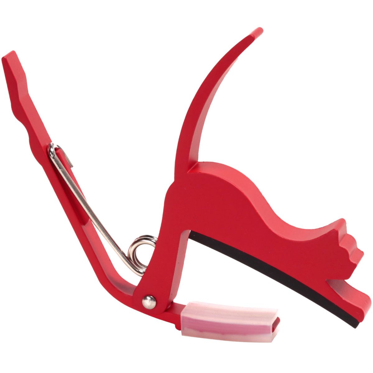 用土つき　赤猫　ゴリ猫　超コンパクト　ボールタイプ　32 Amazon.co.jp: アガベ チタノタ レッドキャットウィーズル ゴリ