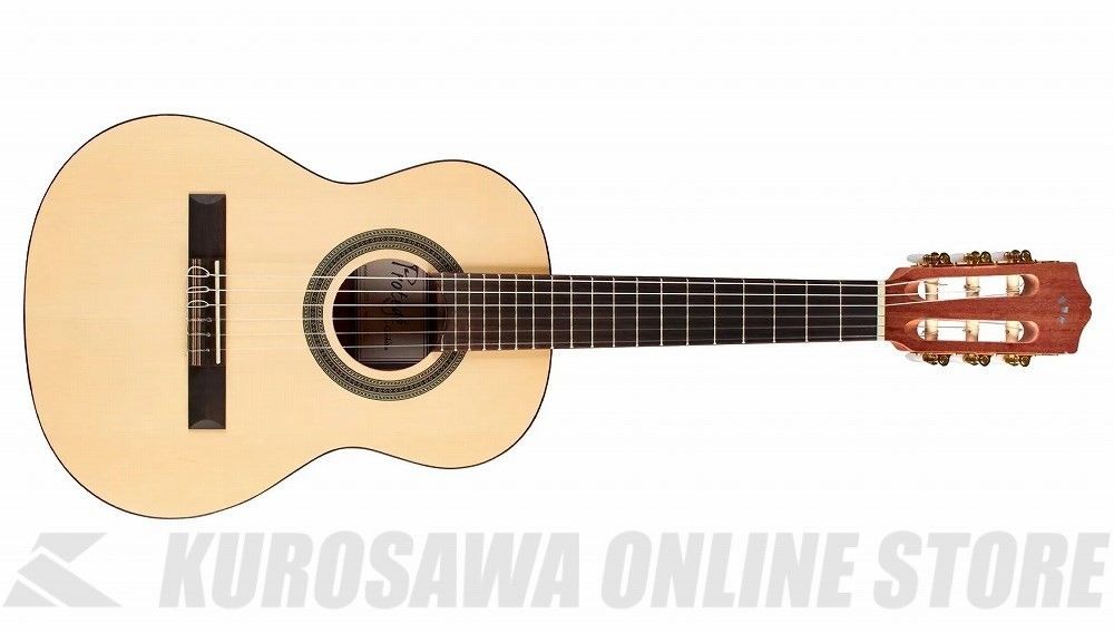 Protege C1M 1/4 | 【クロサワ楽器店オンラインショップ】いい楽器との