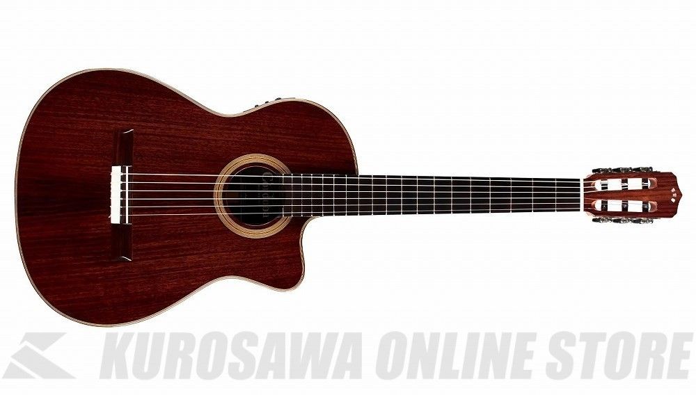 Fusion 12 Rose II | 【クロサワ楽器店オンラインショップ】いい楽器と