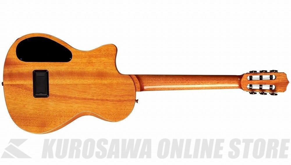 Stage Natural Amber | 【クロサワ楽器店オンラインショップ】いい楽器