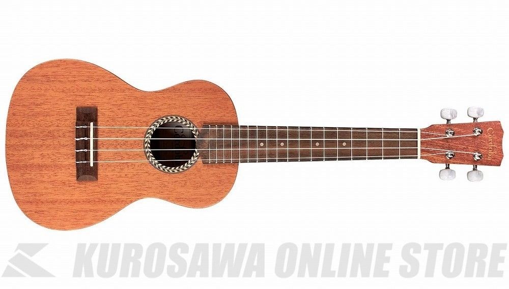20CM | 【クロサワ楽器店オンラインショップ】いい楽器とのいい出会い