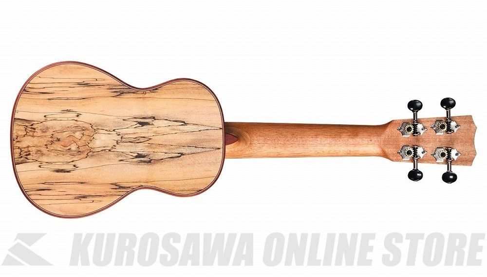 24S Spruce | 【クロサワ楽器店オンラインショップ】いい楽器とのいい