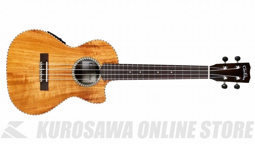 25T-CE | 【クロサワ楽器店オンラインショップ】いい楽器とのいい 