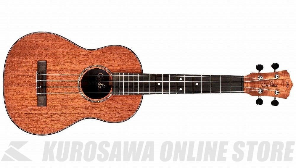 30T | 【クロサワ楽器店オンラインショップ】いい楽器とのいい出会いを