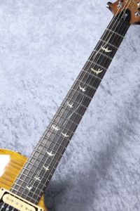 20th Anniversary Single Cut Trem 10Top・BirdInlay -Amber