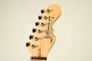 もも‪‪☺︎‬ページ MT2-STD/R -Butterscotch Blonde- | 【クロサワ楽器店オンライン