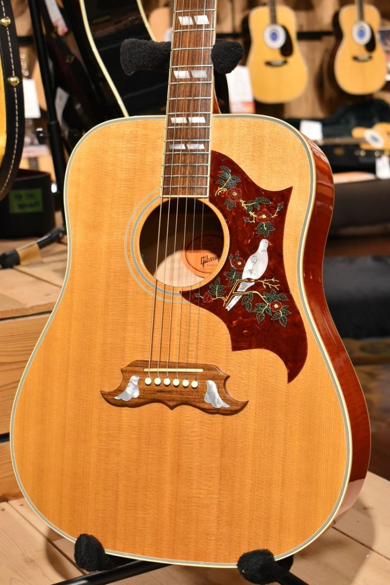 Gibson Dove です。The Historic Collection.