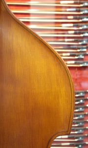 Gliga GemsⅡ Gamba Shape&Carved Back 3/4 | 【クロサワ楽器店