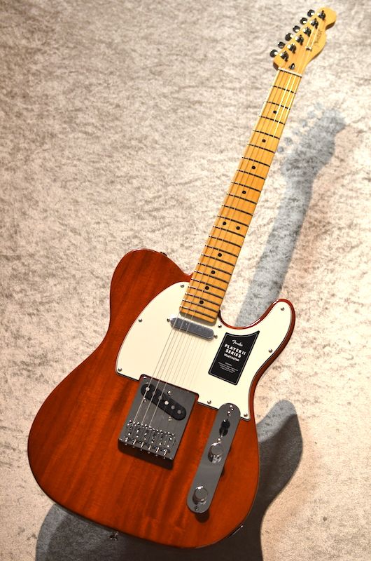 Player II Telecaster Maple Fingerboard ～Mocha～ #MX24088736