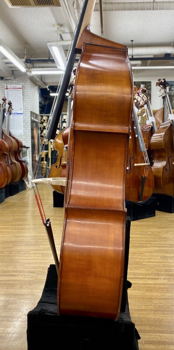GemsⅡViolin ☆ Gliga グリガ GemsⅡ コントラバス ソフトケース付き 