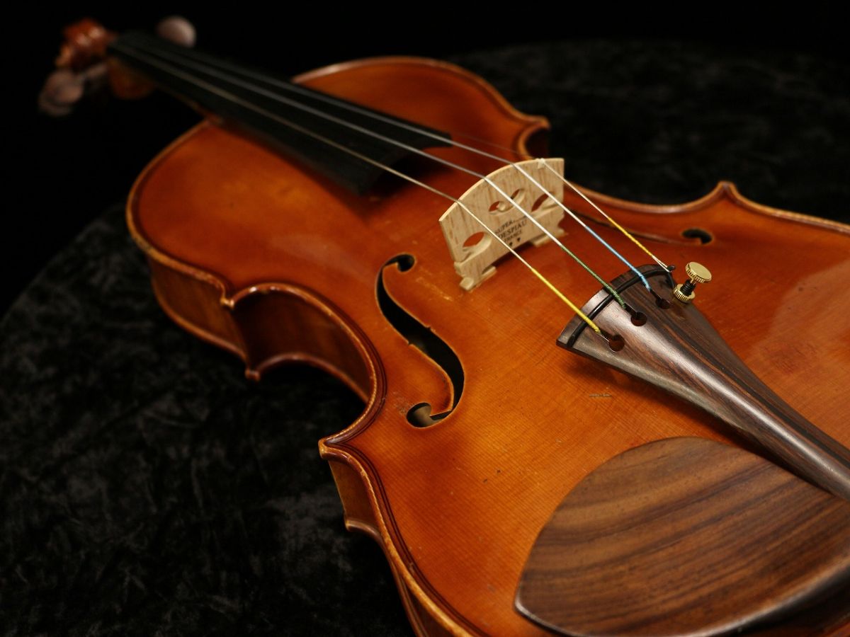 ◆An old violin Chenantais & Le Lyonnais ◇An old violin Chenantais & Le Lyonnais