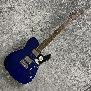 テレキャス タイプ、Bacchusのエレキギター検索結果一覧 | 【クロサワ