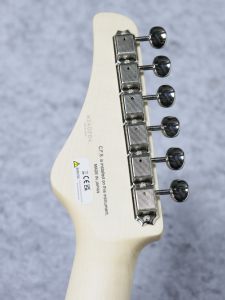 ギター Fujigen EOS2-ASH-ML Expert ODYSSEY Fujigen EOS2-ASH-ML (See through Blue Burst) -Expert ODYSSEY