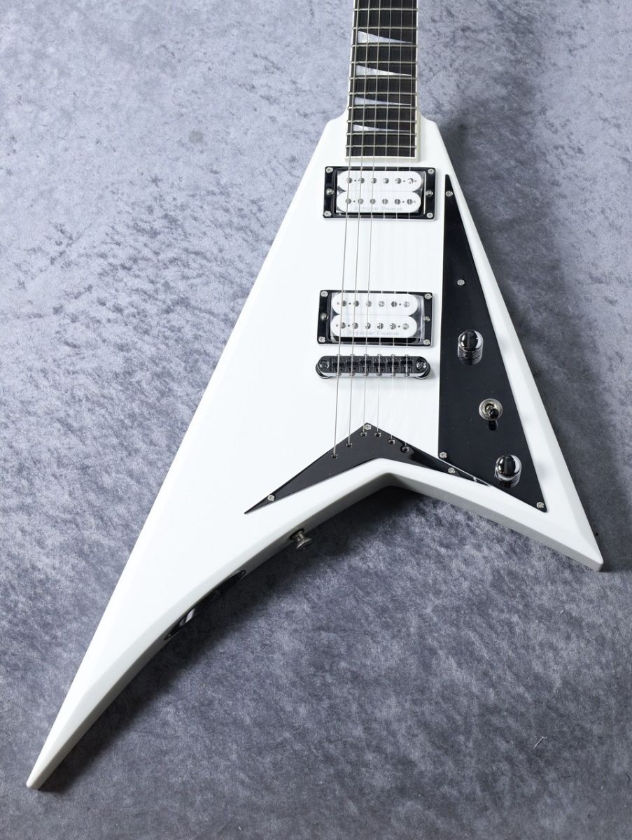 寺田楽器　thumb W250N サム　RITTER RCG700-D Ritter Classic RCG700-9-DE/BST Double Electric Guitar Gig