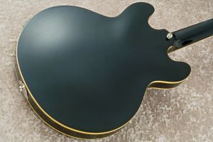 CASINO Coupe EB | 【クロサワ楽器店オンラインショップ】いい楽器との