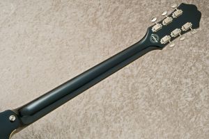 CASINO Coupe EB | 【クロサワ楽器店オンラインショップ】いい楽器との