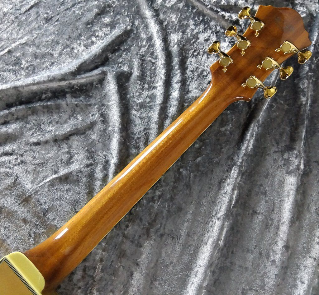 Ibanez フルアコ パット・メセニーモデル ハードケース付き Ibanez アイバニーズ PM200-NT [Pat Metheny / パット・メセニー