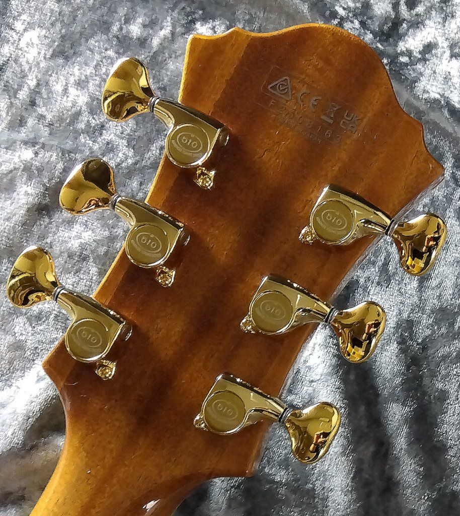 PM-200 Pat Metheny Signature NT : Natural s/n F2508163